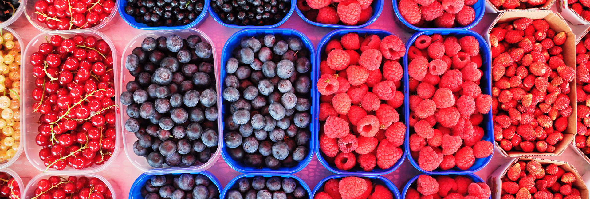 N1 Berries