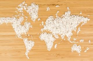 What Does The World Eat?