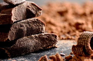 Celebrate the Cocoa Bean