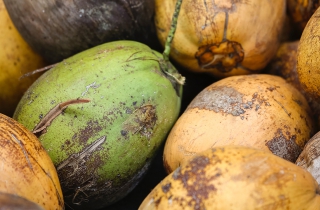 Reducing Food Spoilage. Photo by Max Lakutin on Unsplash