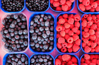 N1 Berries