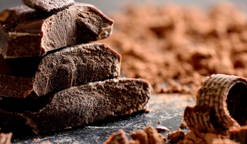 Celebrate the Cocoa Bean