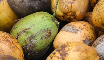 Reducing Food Spoilage. Photo by Max Lakutin on Unsplash