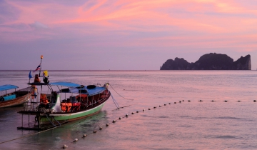All You Need To Know About Ocean Acidification