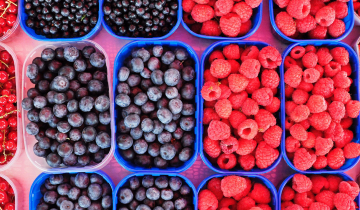 N1 Berries